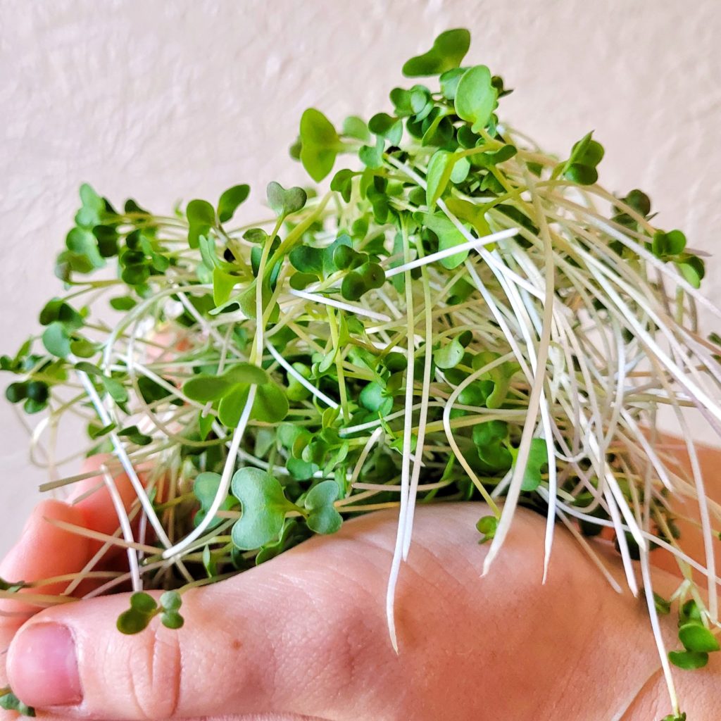 20230112_100512-01 (1)